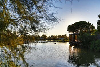 Hotel Mas De La Fouque H�tel & Spa