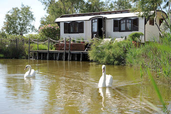 Hotel Mas De La Fouque H�tel & Spa