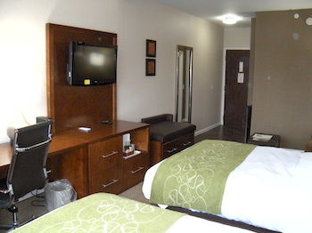 Hotel Comfort Suites Dover