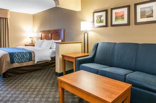 Hotel Comfort Inn & Suites