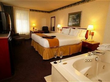 Hotel Holiday Inn Express Holland