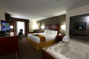 Hotel Holiday Inn Express Holland