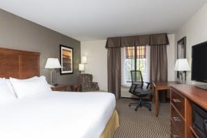 Hotel Holiday Inn Express Holland