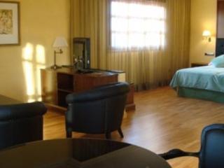 Hotel Torremilanos