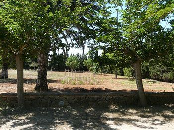 Agroturismo Es Palmer Oase