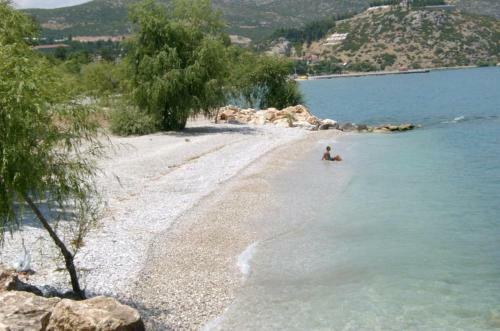Bed & Breakfast Sehsuvar Peace Pension