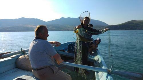 Bed & Breakfast Sehsuvar Peace Pension