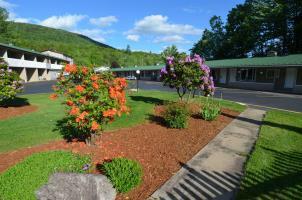 Hotel Econo Lodge Inn & Suites