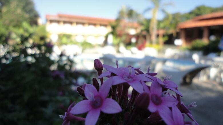 Hotel S�o Sebasti�o Da Praia