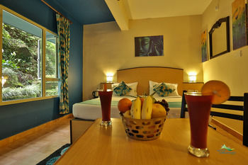 Hotel Misty Mountain Resort