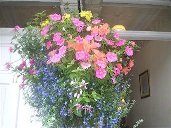 Bed & Breakfast Geminian Guest House