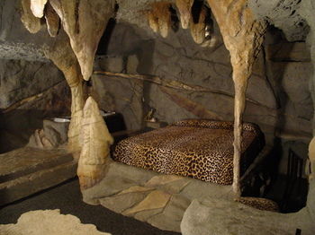 Hotel Wildwood Inn Tropical Dome & Theme Suites