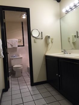 Hotel Wildwood Inn Tropical Dome & Theme Suites
