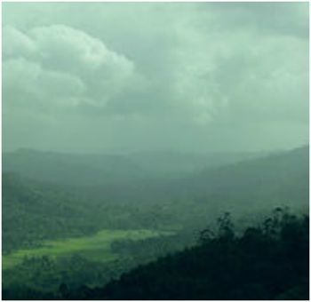 Apartamento Spice Tree Munnar