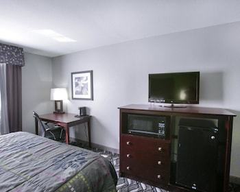 Hotel Rodeway Inn & Suites Downtown North
