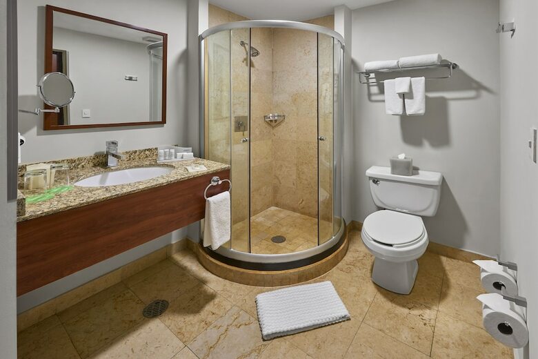 Hotel Wyndham Garden Polanco