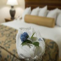 Hotel Hilton Atlanta Airport