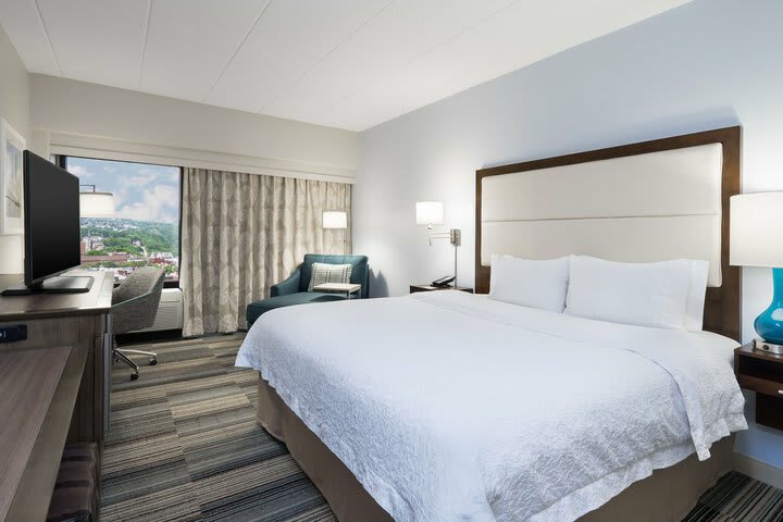 Hotel Hampton Inn Pittsburgh-university Center