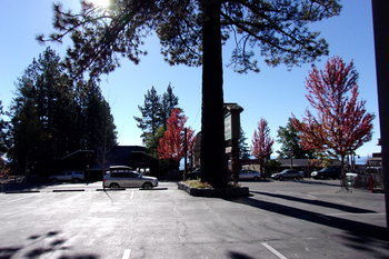 Motel Pepper Tree Inn