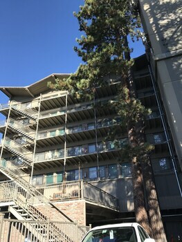 Motel Pepper Tree Inn