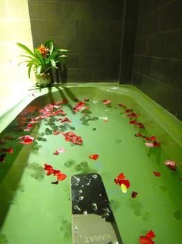 Angkor Boutique Tropic Hotel