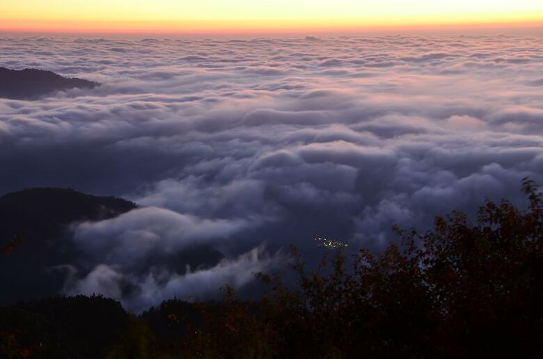 Hotel Alishan House