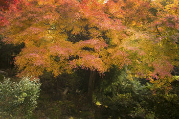 Takimotokan Yukinosato