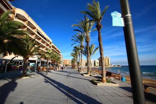 Apartamentos Marina Playa De Torrevieja