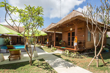 Hotel Gecko Bungalows
