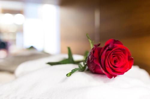 Hotel Starlight Luxury Rooms