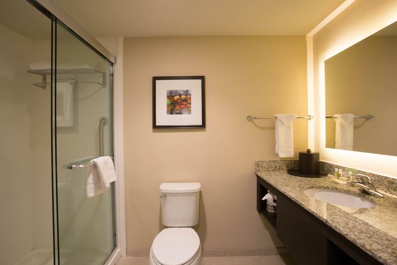 Hotel Holiday Inn Murfreesboro
