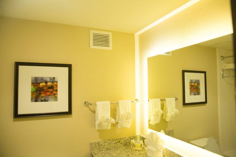 Hotel Holiday Inn Murfreesboro