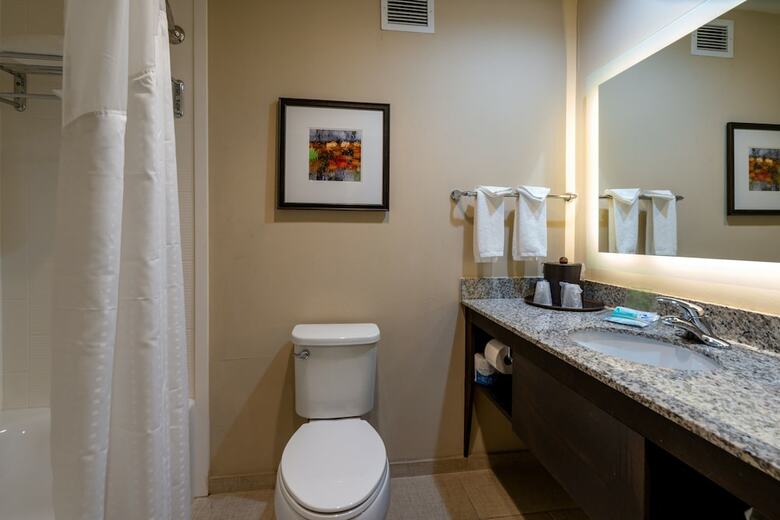Hotel Holiday Inn Murfreesboro