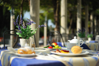 Hotel Svoboda - Terme Krka