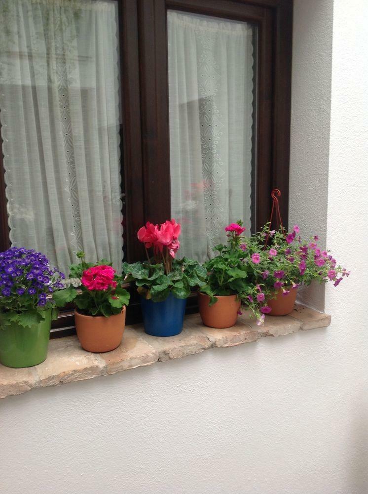 Hostal Hospeder�a Alma Andalus�
