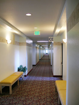 Motel Edgewater Inn