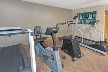 Hotel Super 8 O'hare/chicago/elk Grove Village