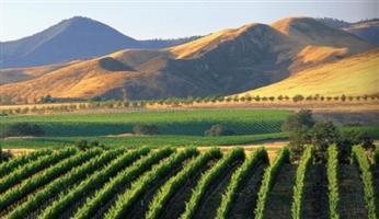 Hotel Holiday Inn Express Solvang - Santa Ynez Valley