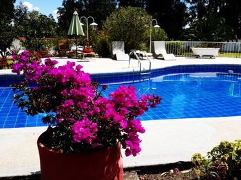 Casa D' Campo Tababela Hotel Boutique
