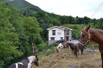 Alesga Hotel Rural