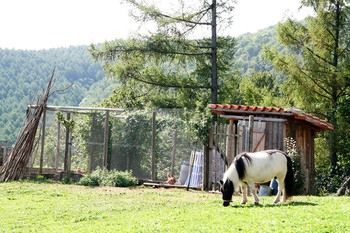 Hotel Ecol�gico Kaa�o Etxea