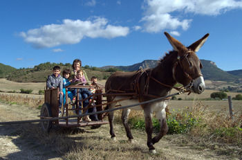 Agroturismo Casa Rural Basaula
