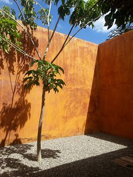 Hotel Cosijo