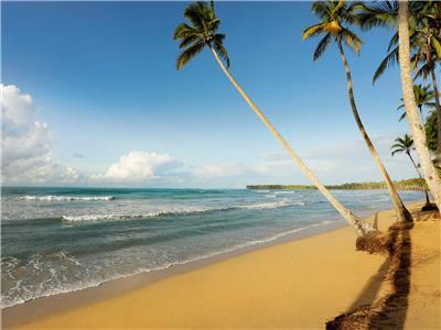 Hotel Viva Wyndham V Samana - Adults Only - All Inclusive