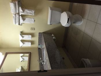 Hotel Crowne Plaza Executive Center