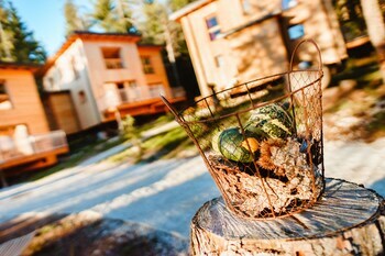 Forest Chalet Resort Felizitas