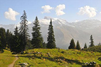 Hotel Berglodge Restaurant Ristis