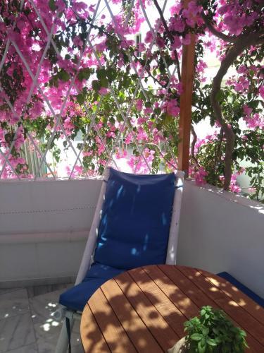 Doron Hotel Delfini