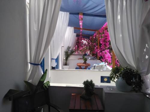 Doron Hotel Delfini