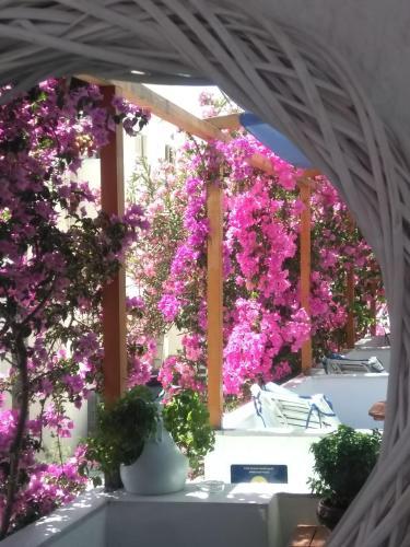 Doron Hotel Delfini